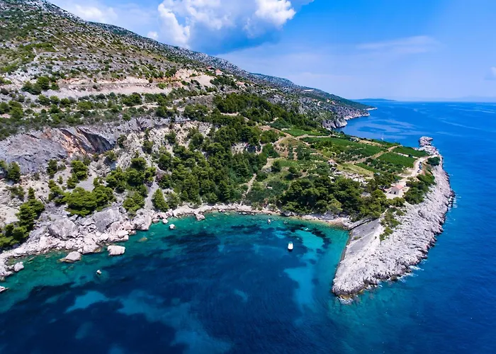 House With A Parking Space Cove Zarace, Hvar - 23952 *